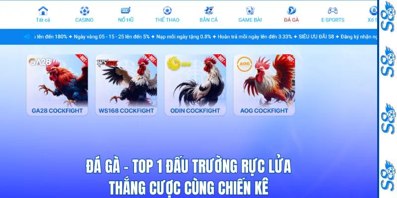 Đá Gà - Top 1 Đấu Trường Rực Lửa Thắng Cược Cùng Chiến Kê