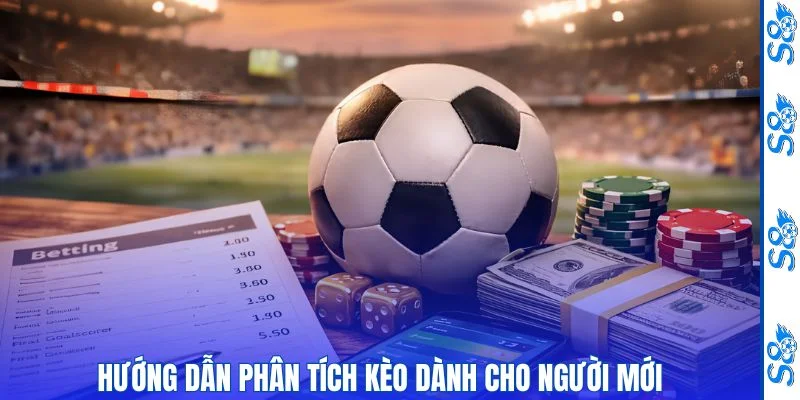 Mẹo đánh giá tỷ lệ phù hợp cho người mới