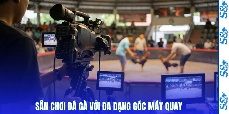 Sân chơi đá gà với đa dạng góc máy quay