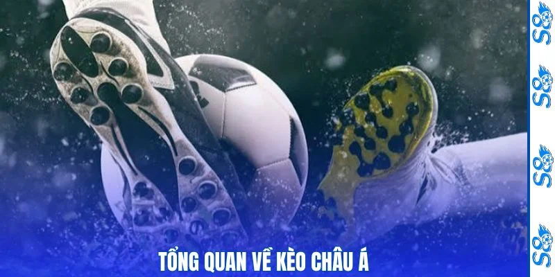 Thông tin cơ bản về kèo châu Á