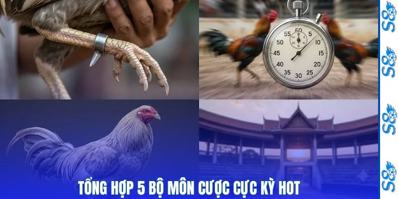 Tổng hợp 5 bộ môn cược cực kỳ hot